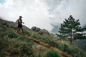 BIB: 
                            <button type="button" onclick="openModal(25998631)" class="btn btn-primary btn-sm float-right btn-popup" data-toggle="modal" data-target=".modal-high-quality">
                        <i class="fas fa-shopping-cart"></i> Add to Cart
                    </button>
                                            <button type="button" onclick="isThisMe(25998631, true)" class="btn btn-success btn-sm float-right btn-popup btn-isme hidden" data-toggle="tooltip" data-placement="bottom" title="นี่คือรูปของคุณใช่ไหม คลิกที่นี่เพื่อเอาเข้าอัลบั้ม">
                        <i class="fas fa-plus"></i> Add to album
                    </button>
                    <button type="button" onclick="isThisMe(25998631, false)" class="btn btn-warning btn-sm float-right btn-popup btn-isnotme hidden">
                        <i class="fas fa-ban"></i> Remove from album
                    </button>